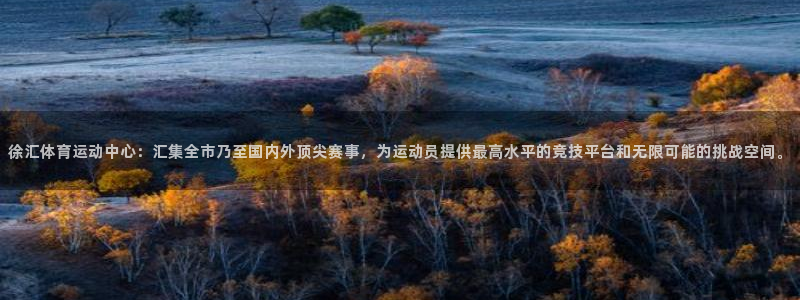 JJB竞技宝官方平台体育：徐汇体育运动中心：汇集全市