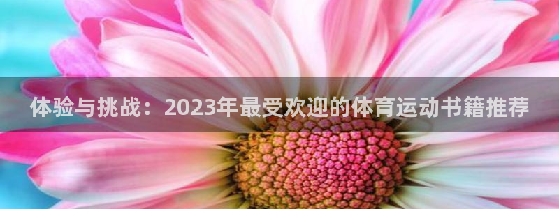JJB竞技宝官网下载平台是正规平台吗安全吗：体验与挑