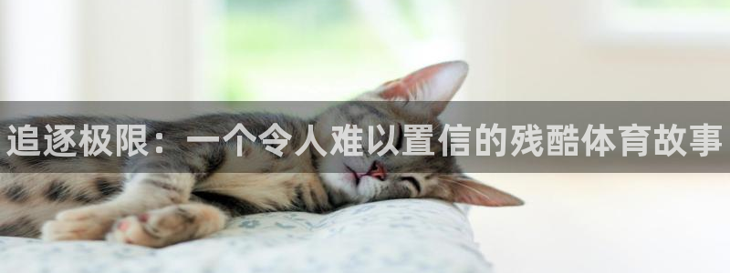 JJB竞技宝官网下载招商电话是多少：追逐极限：一个令人难以置