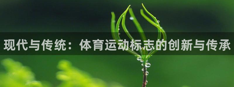 JJB竞技宝官方正版app娱乐40996：现代与传统