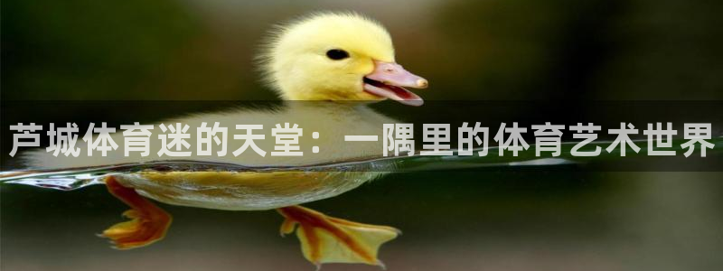 JJB竞技宝官方正版app娱乐：芦城体育迷的天堂：一