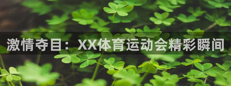 JJB竞技宝官方正版app娱乐首页网站大全：激情夺目