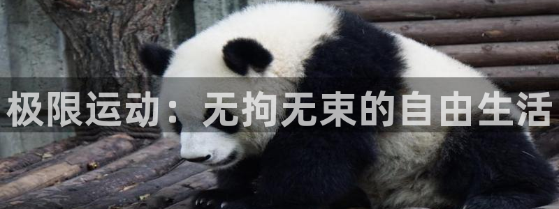 德国JJB竞技宝官方正版app集团：极限运动：无拘无束的自由