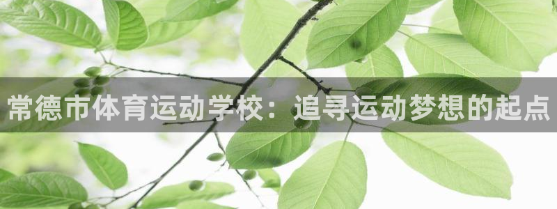 JJB竞技宝官方正版app神州：常德市体育运动学校：