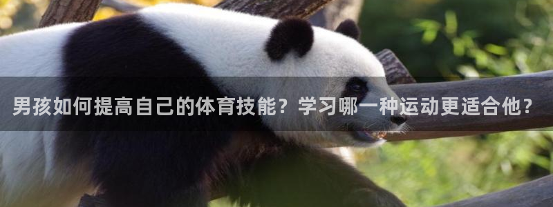 JJB竞技宝官网下载：男孩如何提高自己的体育技能？学