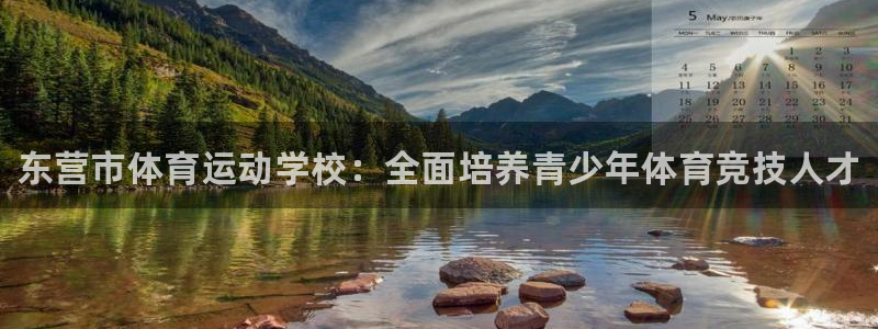 JJB竞技宝官方正版app集团E.ON：东营市体育运