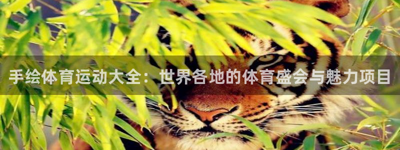 JJB竞技宝官方正版app娱乐平台：手绘体育运动大全：世界各
