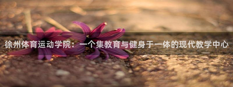 JJB竞技宝官方正版app官方