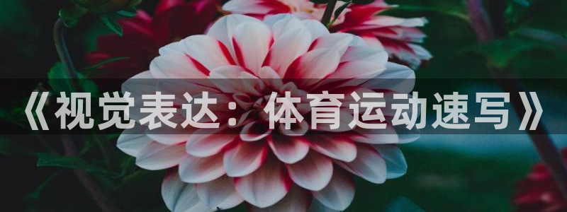 JJB竞技宝官方正版app集团E.ON：《视觉表达：体育运动