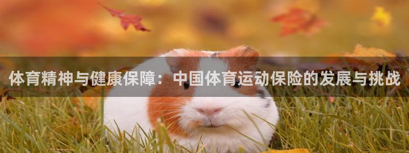 JJB竞技宝官网下载是干嘛的公司