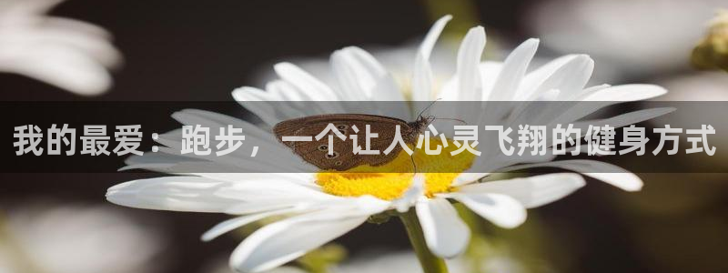 JJB竞技宝官方集团官网：我的最爱：跑步，一个让人心灵飞翔的