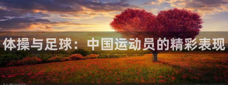 JJB竞技宝官网下载招商电话号码查询是多少