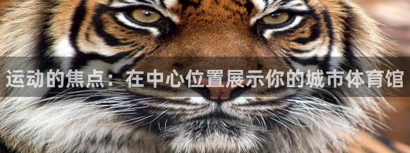 JJB竞技宝官方正版app娱乐：运动的焦点：在中心位