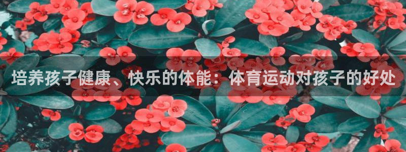 JJB竞技宝官网下载平台是正规平台吗安全吗