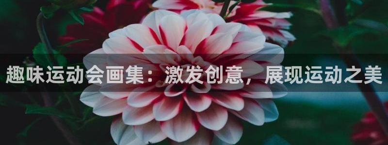 JJB竞技宝官网下载平台是正规平台吗：趣味运动会画集