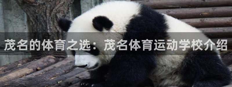 JJB竞技宝官网下载联系电话