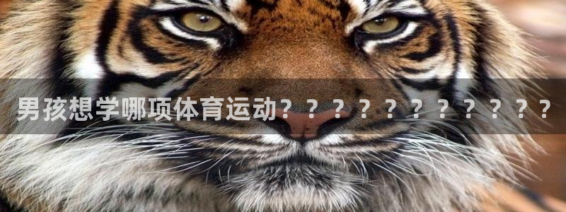 JJB竞技宝官网下载平台：男孩想学哪项体育运动？？？？？？？