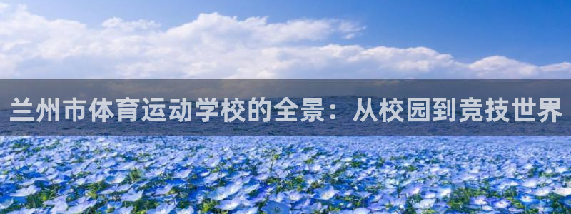 JJB竞技宝官网下载招商电话号码查询是多少