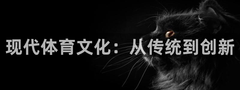 JJB竞技宝官网下载平台是正规平台吗知乎：现代体育文化：从传