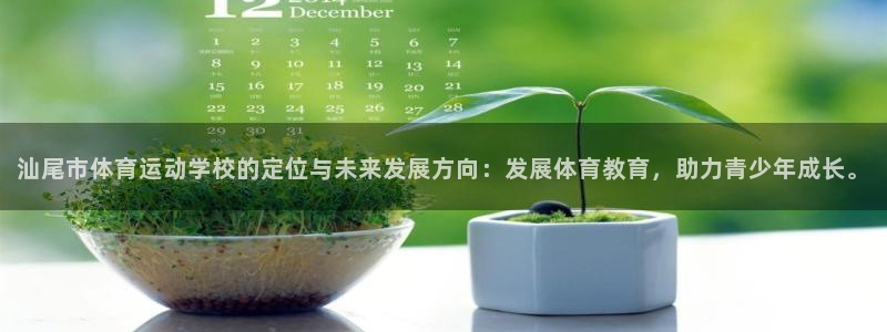 JJB竞技宝官网下载平台APP：汕尾市体育运动学校的定位与未