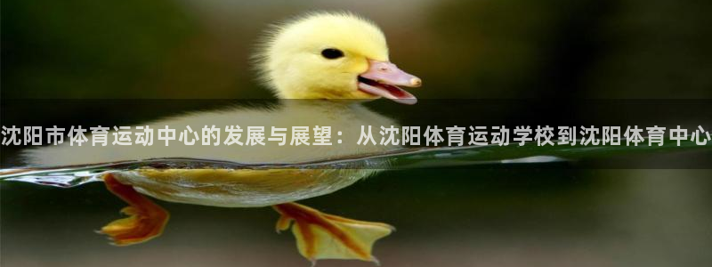 JJB竞技宝官网下载开户