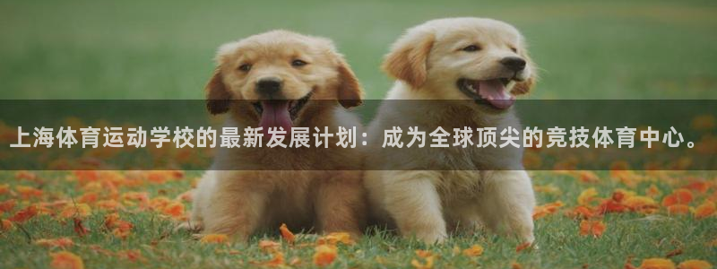 JJB竞技宝官网下载平台：上海体育运动学校的最新发展计划：成