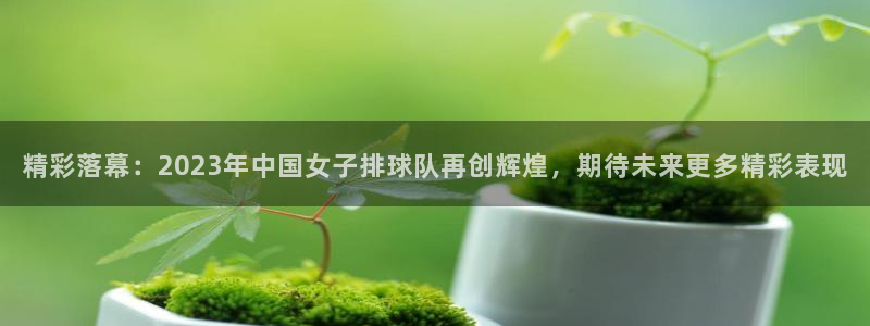 JJB竞技宝官网下载软件：精彩落幕：2023年中国女子排球队