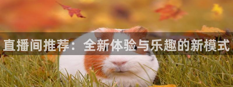 直播吧..：直播间推荐：全新体验与乐趣的新模式