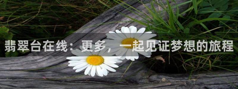 直播吧:：翡翠台在线：更多，一起见证梦想的旅程