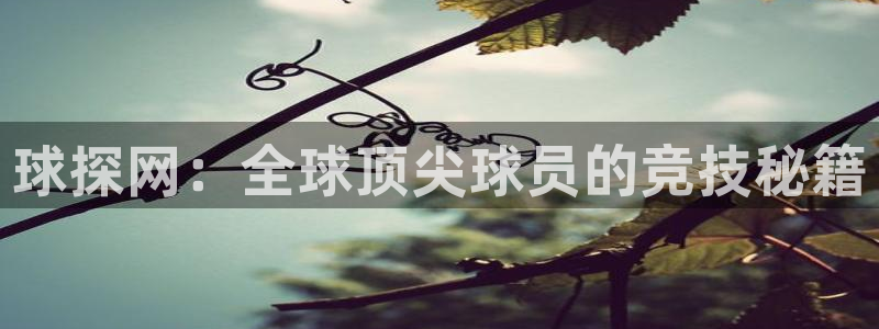 jrs看球直播吧：球探网：全球顶尖球员的竞技秘籍