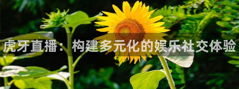 直播吧】：虎牙直播：构建多元化的娱乐社交体验