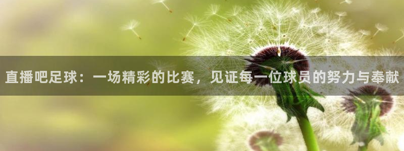直播吧体育女神大赛小组赛day7：直播吧足球：一场精彩的比赛，见证每一位球员的努力与奉献